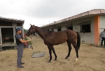 �ٳ���ŷ�� (DANAEUN KINGDOM) ����