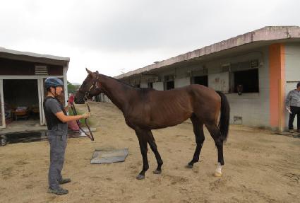 �ٳ���ŷ�� ����