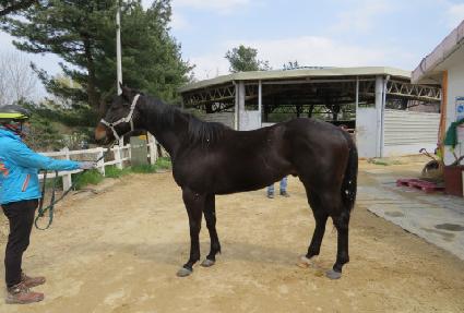 �����Ʈè�� ����