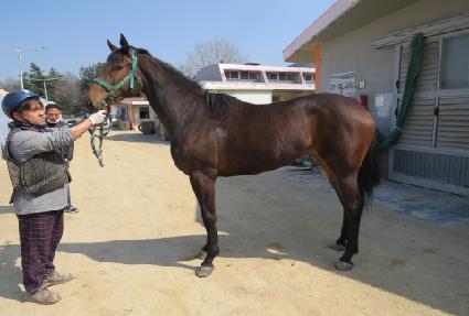 ����϶� ����