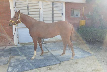 ���ǵ庸�� ����