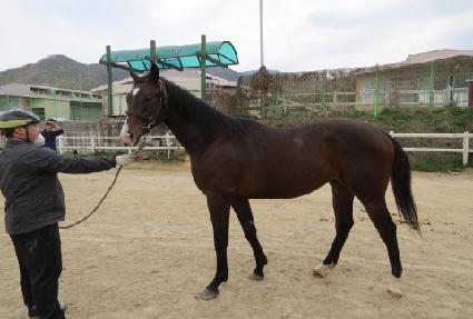 ����Ʈ���� ����