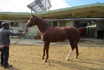 �ǿ��������� (PNS GONGJA) ����