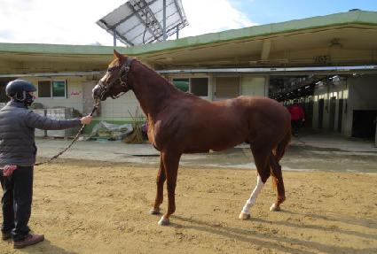 �ǿ��������� ����