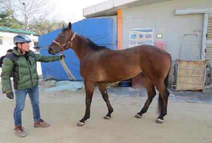 �ǿ������¸� ����