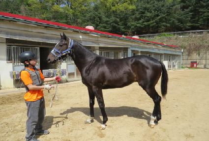 �����Ŭ���� ����