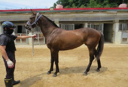 ��´����ߵ� ����