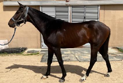 ��³���Ƽ�� ����