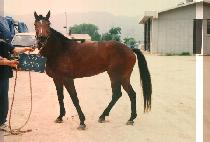 ū��� (KEUN JAE MI) ����