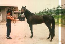 �и� (HAK NIM) ����