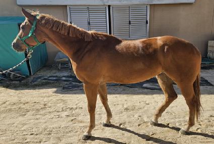 �����ε��� ����