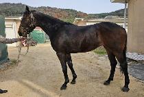 ������ (OH BOMNAL) ����