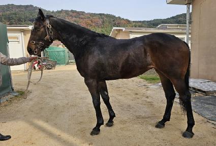 ������ ����