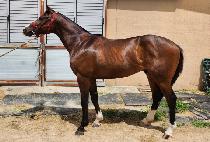 �ǿ�������� (MAN OF THE DAY) ����