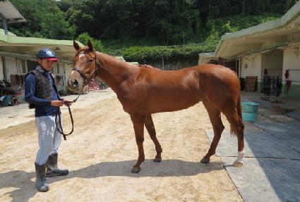 ũ���ֽ��� ����