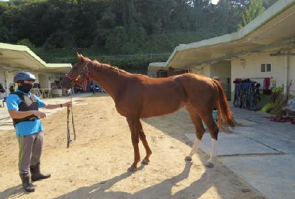 ũ������ ����