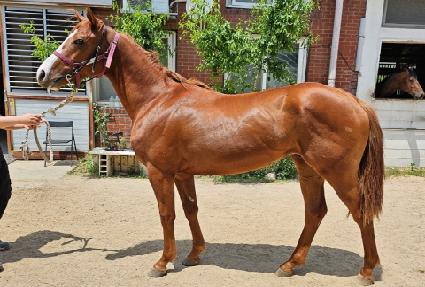 �巡����� ����