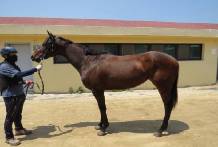 ��Ŭ�������� ����