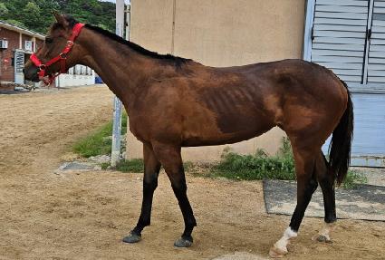 �������� ����