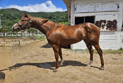 ��������Ʈ ����