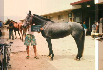 ����� ����