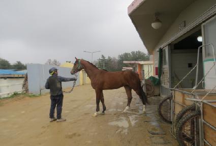 ����巡�� ����