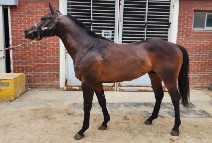 ���� ����