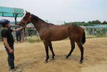 ���õ������� (ONEULDO SMILE) ����