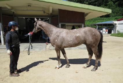 ��ũ������ ����