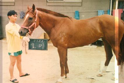 ���� ����