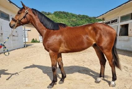 �̽��Ϳ��� ����