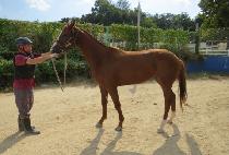 �ܿ���� (GYEOUL JANGMI) ����