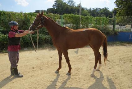 �ܿ���� ����