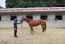 ���̵𸶰� (LADY MAGO) ����