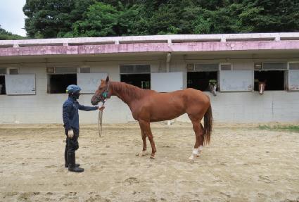 ���̵𸶰� ����