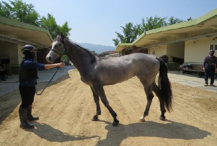 �������� ����