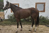 �����ε� (WONDER ROAD) ����