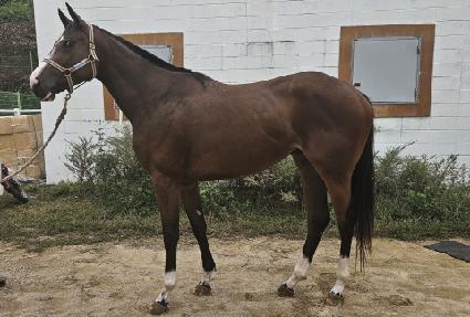 �����ε� ����