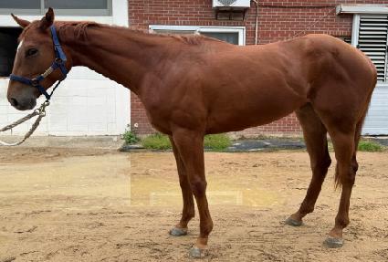 ������Ʈ ����