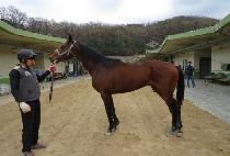 �۴�Ȳ���� (SONGDANG HWANGTAEJA) ����