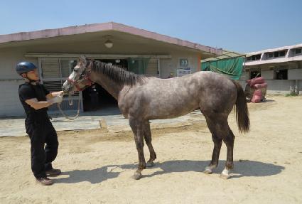 �۷ι���Ÿ ����