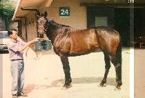 ǻó�� (FUTURE GIRL) ����