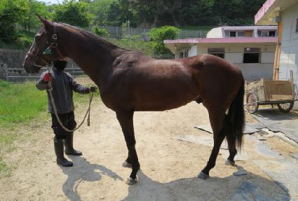 û���� ����