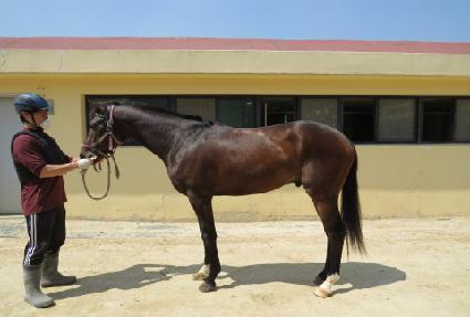 ��Ŭ�������� ����