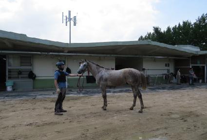 ��������� ����