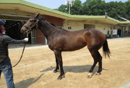 �ظ����� ����