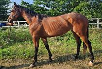 �¿տ��屺 (TAEWANG YEOJANGGUN) ����