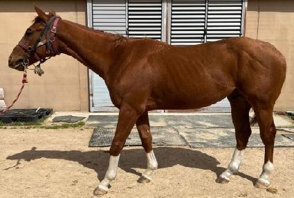 �ö���� ����