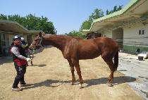 �Ѱ��мǵ� (HANGANG FASHIONED) ����