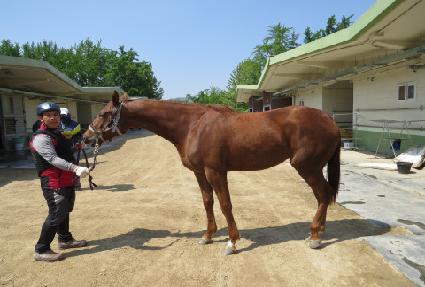 �Ѱ��мǵ� ����